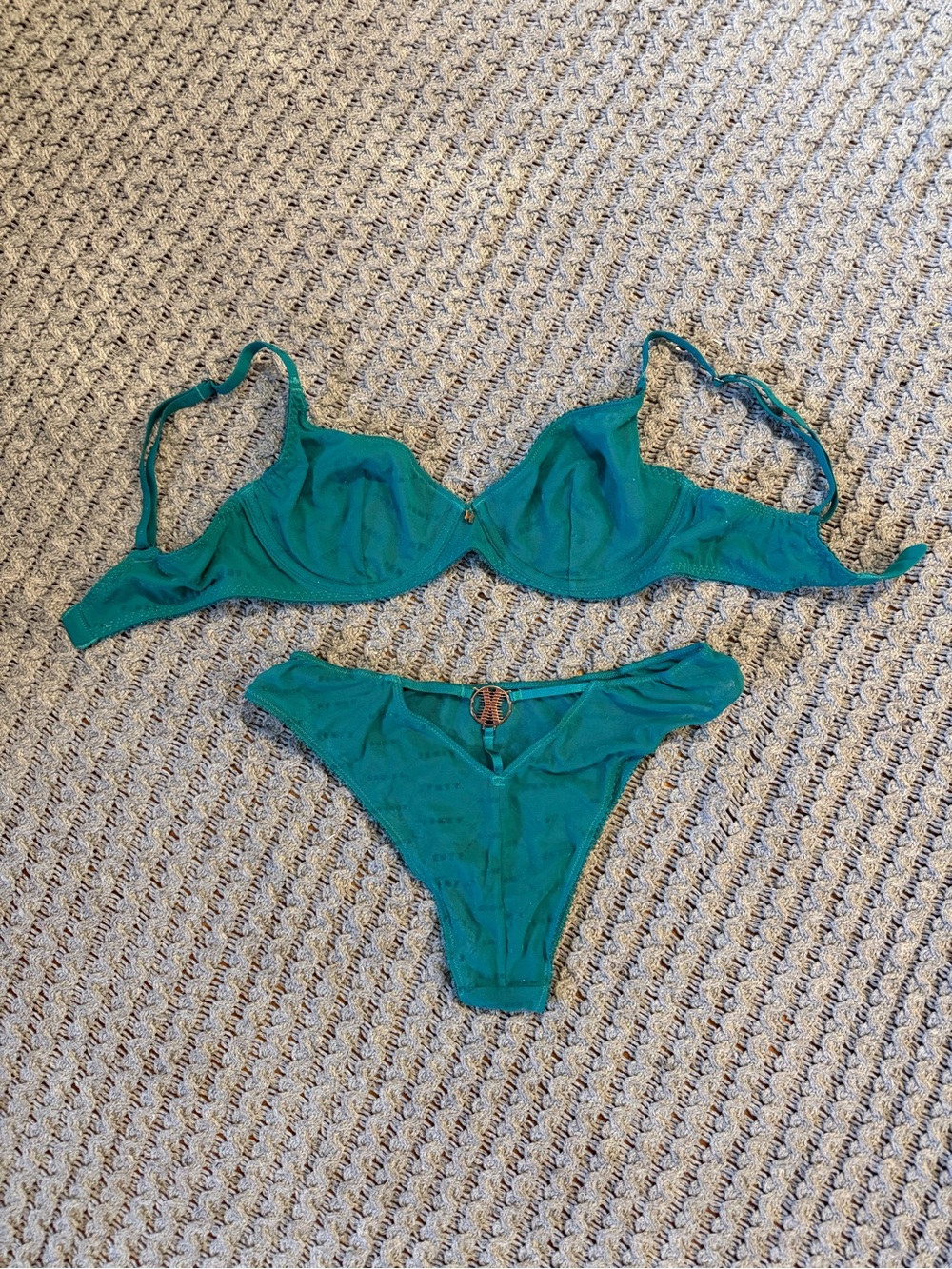 SAVAGE X FENTY Teal Shimmer Flocked Logo Bra & Panty Set